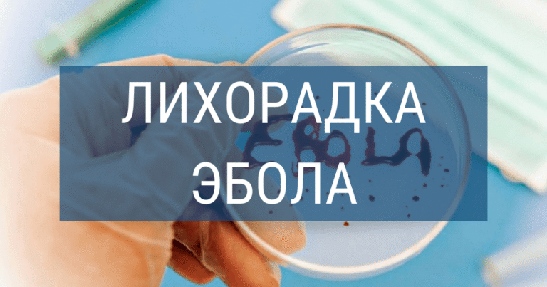 Лихорадка Эбола
