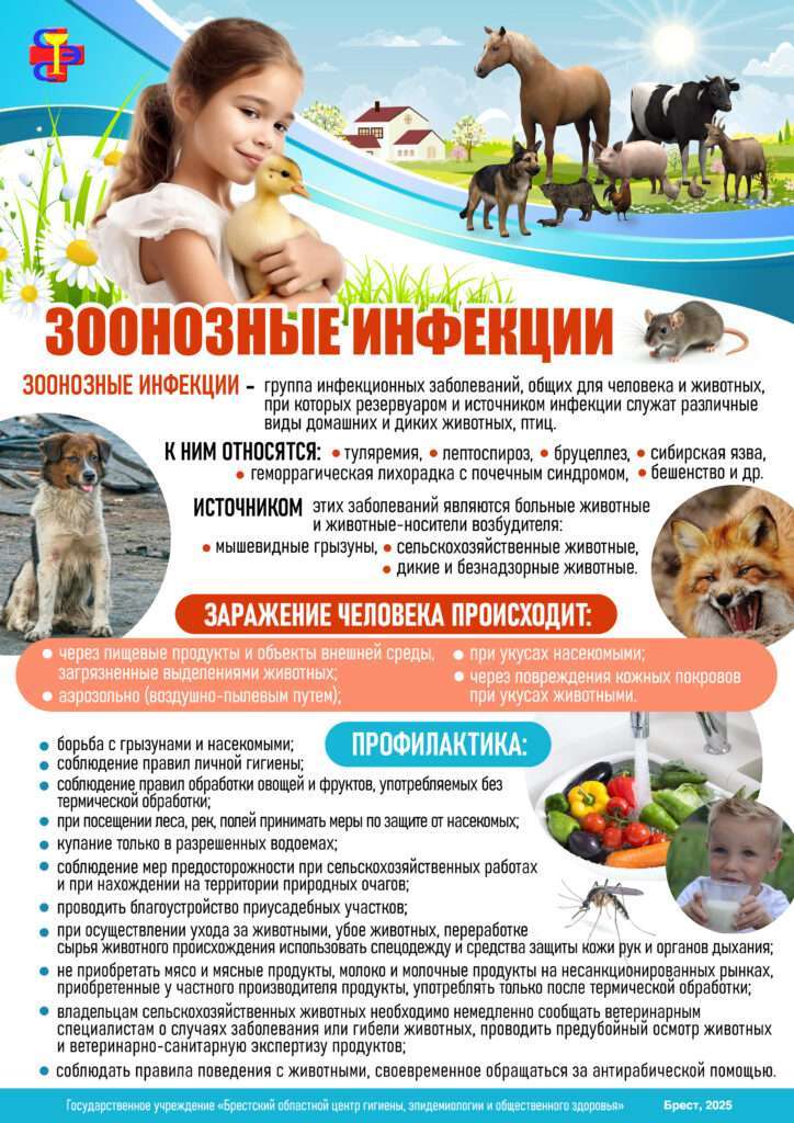 Зоонозные инфекции